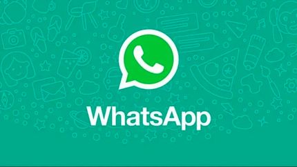 بروزرسانی جدید واتس‌اپ این بار آپدیت نظرسنجی‌ها و کپشن پست‌ها