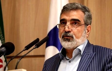 سخنگوی سازمان انرژی اتمی: اقدامات جبرانی ایران در واکنش به قطعنامه جدید شروع شده است