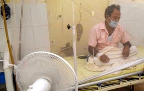 مرگ بیش از ۶۰ نفر بر اثر تب "دِنگی" در هند