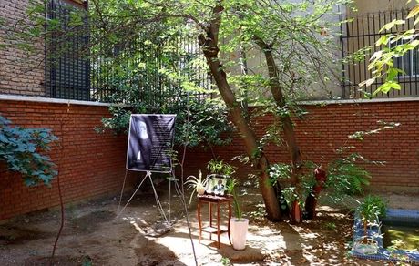 چرا «هوشنگ ابتهاج» کنار درخت ارغوان به خاک سپرده نمی‌شود؟