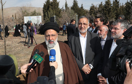 کاشت ۱ میلیارد درخت در ۴ سال اقدامی ارزنده در راستای حفظ محیط زیست است
