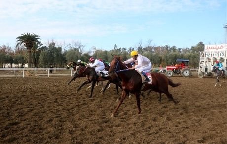 معرفی قهرمانان هفته هفتم اسبدوانی گنبدکاووس