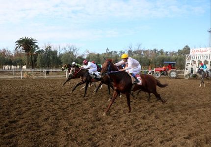 معرفی قهرمانان هفته هفتم اسبدوانی گنبدکاووس