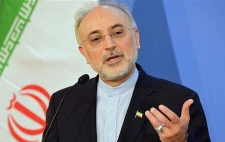 صالحی: ظریف مذاکرات محرمانه عمان را منتشر کند