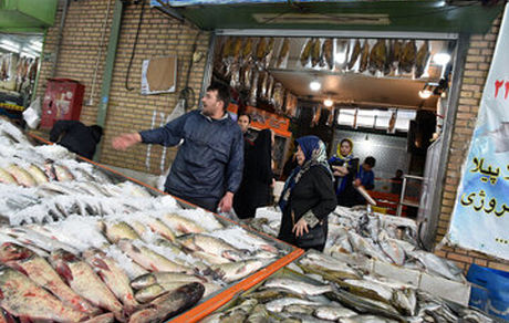 شرط جدید برای خروج ماهی از استان بوشهر