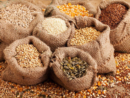 بذرهای گیاهی و خواص درمانی آن‌ها