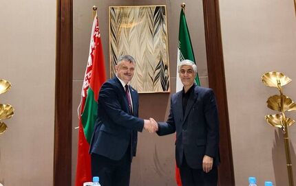 وزیر ورزش و جوانان پیشنهاد دیدار دوستانه ایران و بلاروس داد