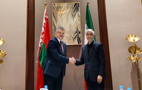 وزیر ورزش و جوانان پیشنهاد دیدار دوستانه ایران و بلاروس داد