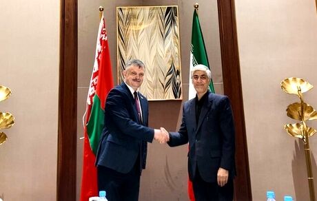 وزیر ورزش و جوانان پیشنهاد دیدار دوستانه ایران و بلاروس داد
