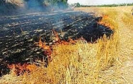 مهار آتش سوزی مراتع منطقه حفاظت شده دیل در گچساران