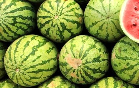 کمبودی بابت هندوانه برای شب چللّه نداریم