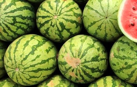 کمبودی بابت هندوانه برای شب چللّه نداریم