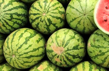 کمبودی بابت هندوانه برای شب چللّه نداریم