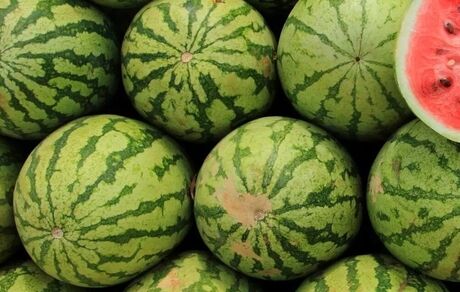 کمبودی بابت هندوانه برای شب چللّه نداریم