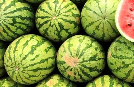 کمبودی بابت هندوانه برای شب چللّه نداریم