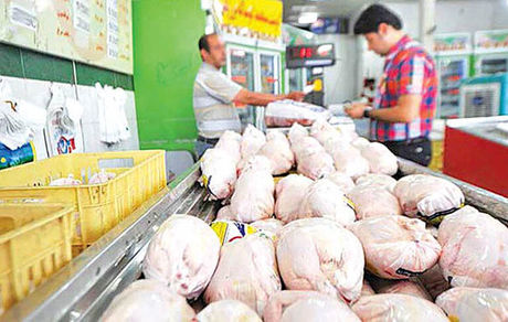 اخلال ۱۳۵ میلیاردی در بازار مرغ استان بوشهر توسط دو نفر!