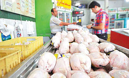 اخلال ۱۳۵ میلیاردی در بازار مرغ استان بوشهر توسط دو نفر!