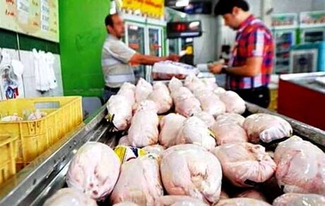 کمبود مرغ در آذربایجان‌غربی / مسئولین: مقطعی است