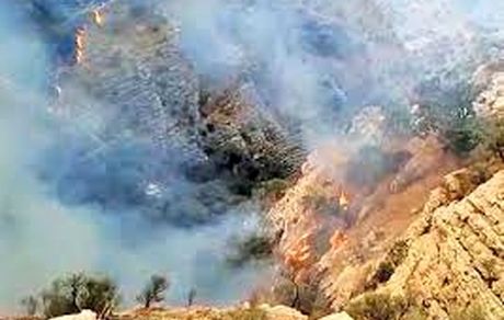 مهار آتش سوزی آتش‌سوزی ارتفاعات گرده‌ داغ استان زنجان