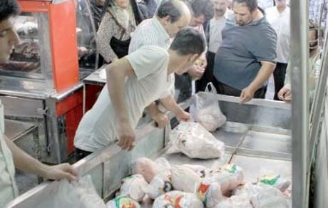 استانداری تهران: فروش مرغ بالاتر از ۲۰۴۰۰ تومان تخلف است