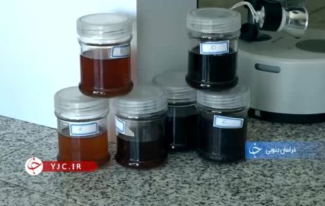  تیغ زرشک بر دل کشاورزان