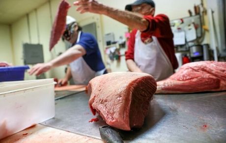 لغو ممنوعیت واردات گوشت برزیلی به عربستان