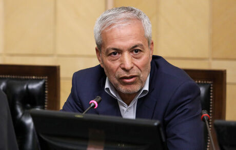میرلوحی: به دولت برای ایجاد فضای اعتراض مسالمت آمیز اصرار می‌کنیم
