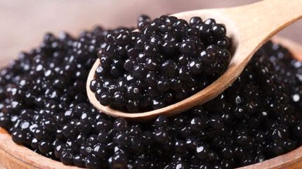 تولید ۲۵ تن خاویار در سال گذشته