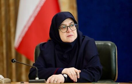 سخنگوی دولت از حل بزودی مشکل ثبت نام پذیرفته‌شدگان کارشناسی ارشد و دکتری خبرداد