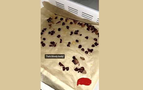 پست ارلینگ هالند درخصوص وعده غذایی‌اش، باعث ناراحتی طرفدارانش شد!