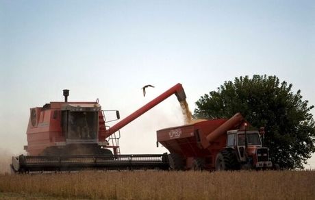 عامل افزایش قیمت جهانی روغن نباتی