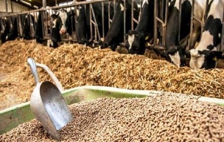 مشکلی در تخلیه نهاده‌های دامی نداریم