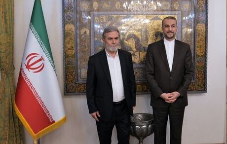 امیرعبداللهیان: مساله فلسطین را مساله محوری جهان اسلام است