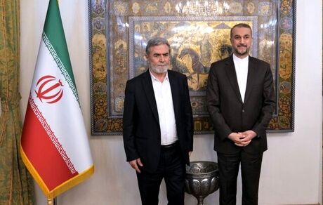 امیرعبداللهیان: مساله فلسطین را مساله محوری جهان اسلام است