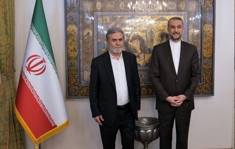 امیرعبداللهیان: مساله فلسطین را مساله محوری جهان اسلام است
