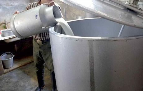 خرید تضمینی شیرخام به قیمت کیلویی ۶۴۰۰ تومان