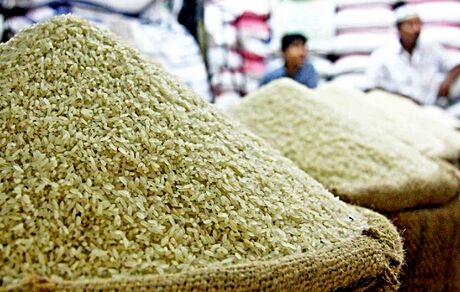 هفته آینده، قیمت جدید برنج اعلام می‌شود