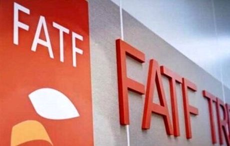 لوایح FATF همچنان بلاتکلیف/میرسلیم: دولت می‌تواند لایحه جدید بدهد