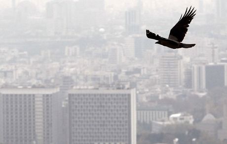 کیفیت هوای پایتخت در ۵ تیر