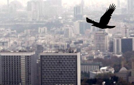 کیفیت هوای پایتخت در ۵ تیر