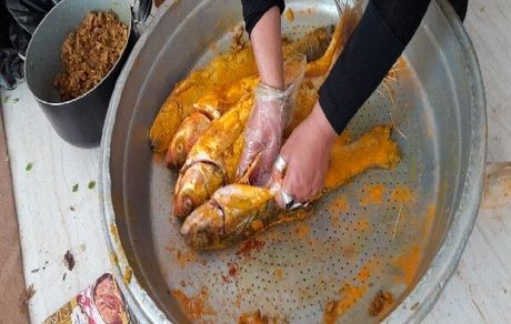 جشنواره طبخ آبزیان و غذاهای محلی با ماهی در خاش برگزار شد