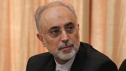  صالحی: آژانس اعلام کرده، درخواست دیگری برای بازرسی ندارد 