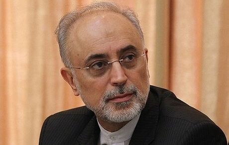 صالحی: آژانس اعلام کرده، درخواست دیگری برای بازرسی ندارد 