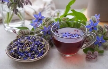 گل گاوزبان؛ آرامش در یک فنجان