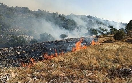 عاملان آتش‌سوزی کوه خائیز دستگیر شدند