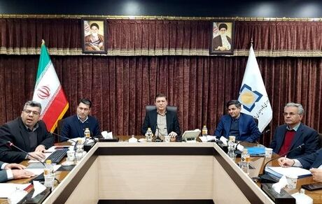 تصویب پرداخت بیش از ۴۴۰ میلیارد تومان تسهیلات کم‌بهره به ۱۰ طرح درآمدزای دهیاری‌های سه استان کشور