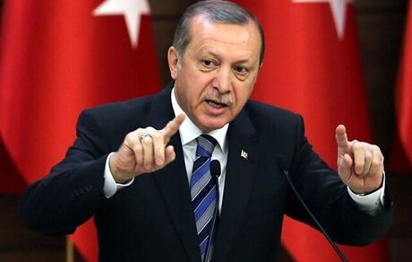اردوغان به دنبال تمدید ماموریت نیروی دریایی ترکیه در خلیج عدن و دریای عرب