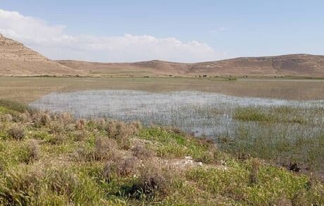 تالاب درگه در نقده بعد از ۲۵ سال احیا شد