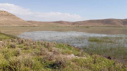 تالاب درگه در نقده بعد از ۲۵ سال احیا شد