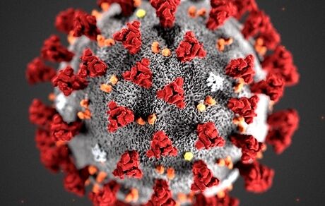 آخرین آمار جهانی کرونا